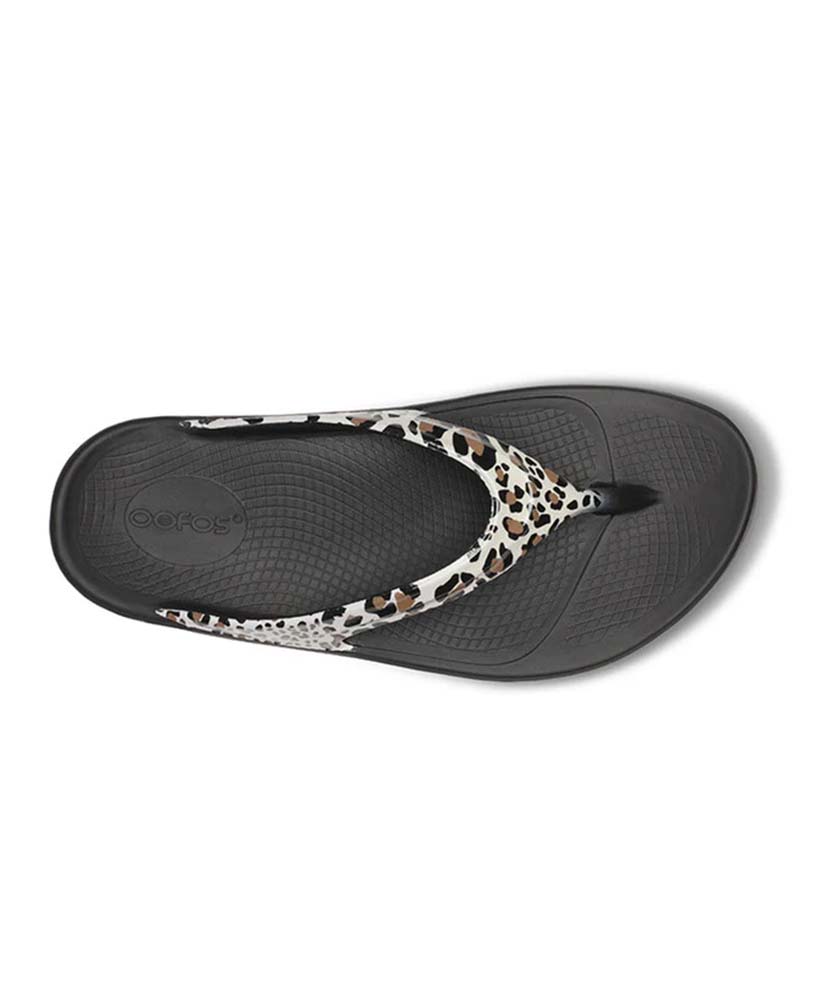 OOlala Limited Moonstone/ムーンストーン M4(WOMEN)