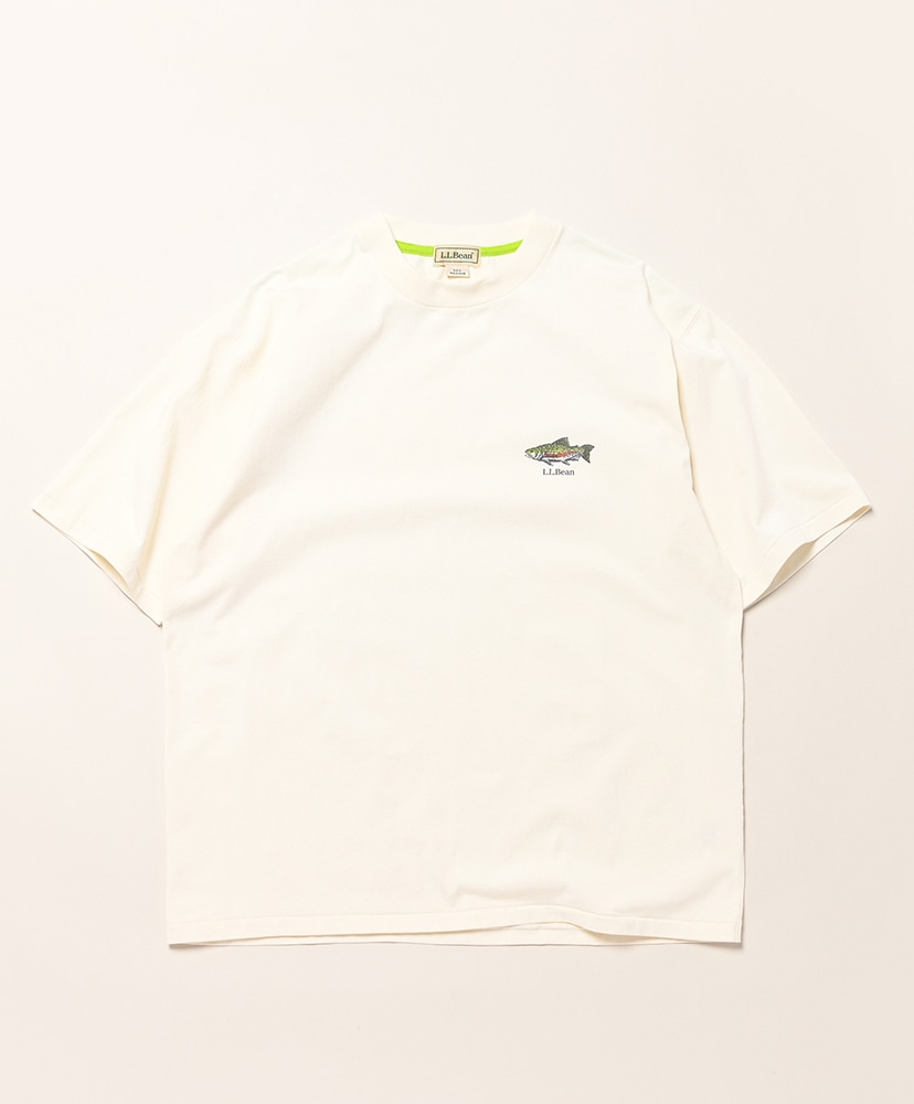 Rainbow Trout/レインボートラウト