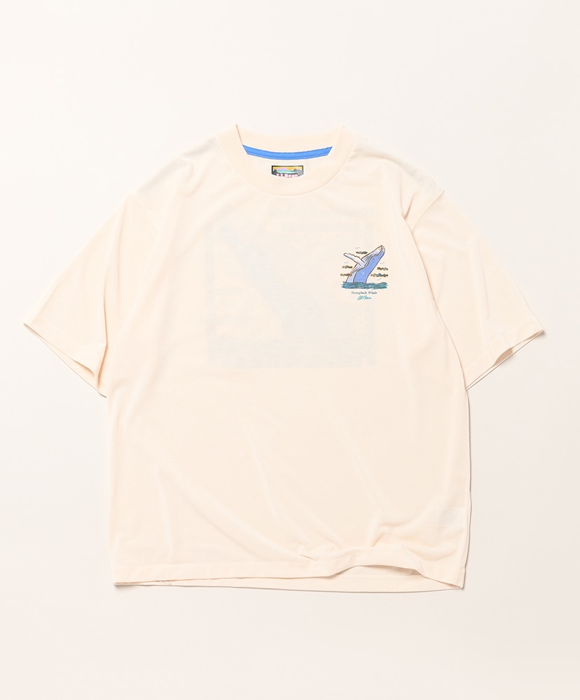 Humpback Whale/ハンプバックホエール