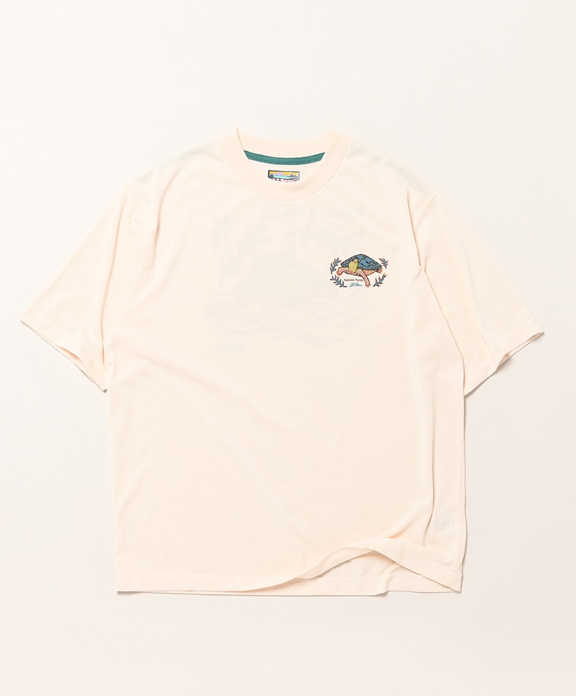 Painted Turtle/ペインテッドタートル