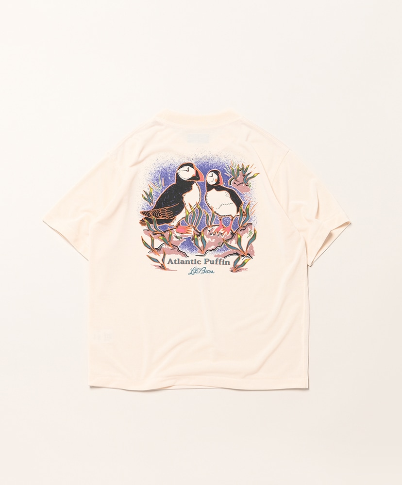 W's Dover Foxcroft Short-Sleeve Tee Atlantic Puffin/アトランティックパフィン M(WOMEN)