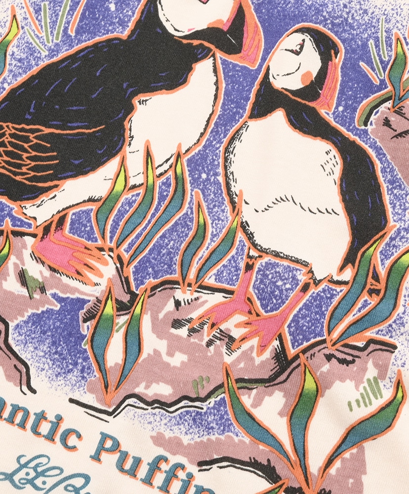 W's Dover Foxcroft Short-Sleeve Tee Atlantic Puffin/アトランティックパフィン M(WOMEN)