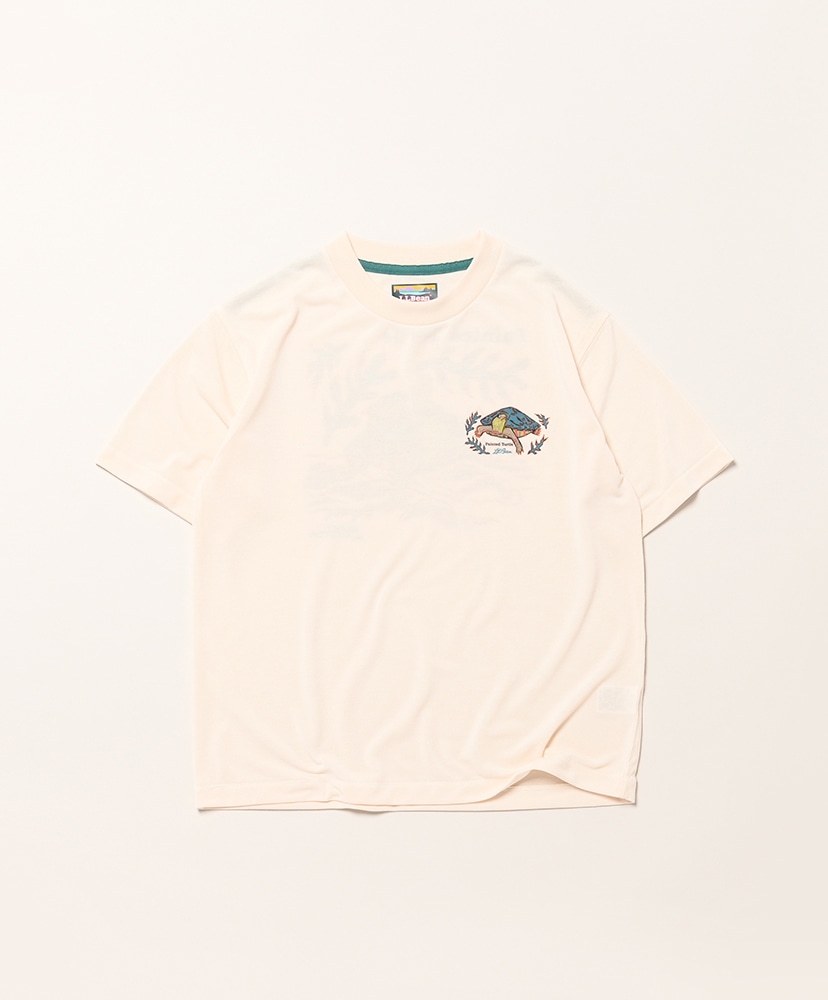 Painted Turtle/ペインテッドタートル