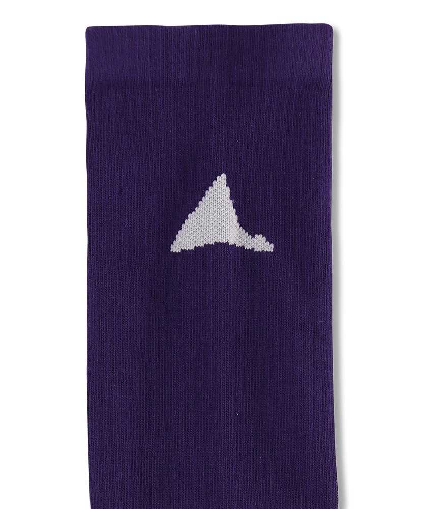 Logo Biofil Socks Purple/パープル 39-(MEN)