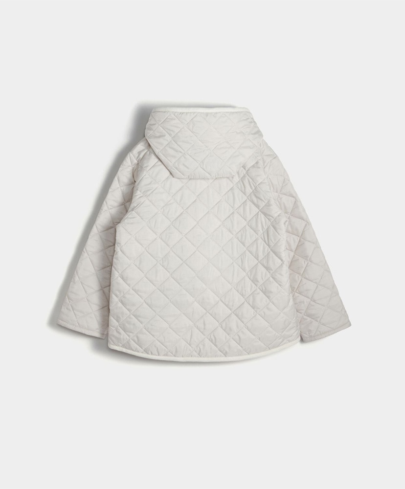 Zipped Craydon Womens Moonbeam Silver/ムーンビームシルバー 10(WOMEN)