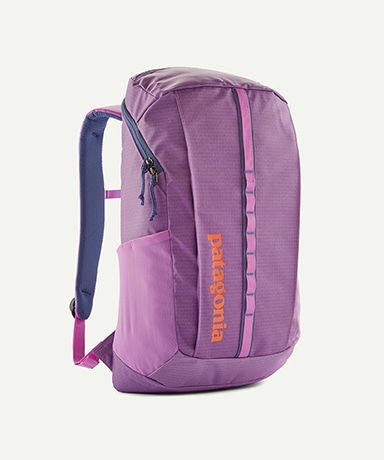 SP12 Patagonia Violeta 25L パタゴニア リュックサック SP12 Patagonia Violeta 25L パタゴニア リュックサック - メルカリ
