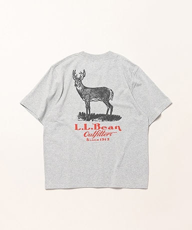 W's Morrill Short-Sleeve Animal Tee