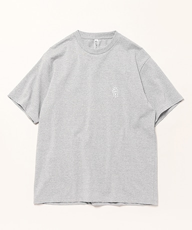 T2