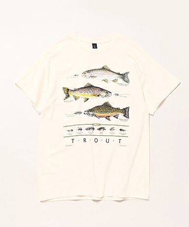 Trout & Flies