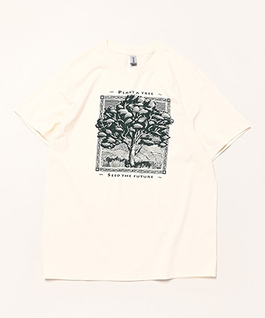 Plant A Tree