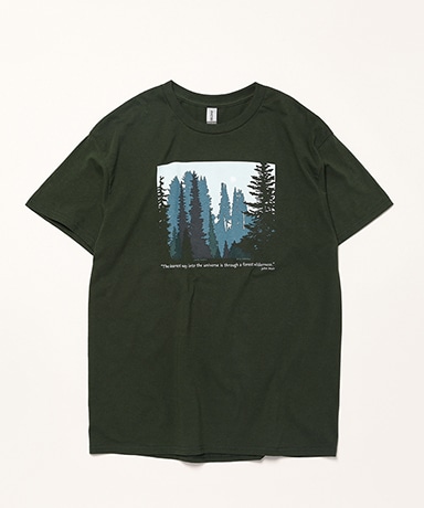 Forest Wilderness