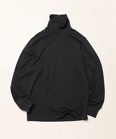 Men's Carefree Unshrinkable Turtleneck