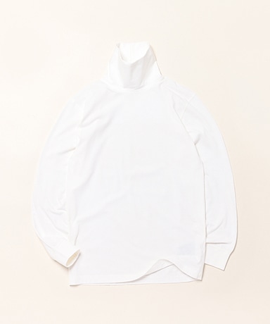 Men's Carefree Unshrinkable Turtleneck