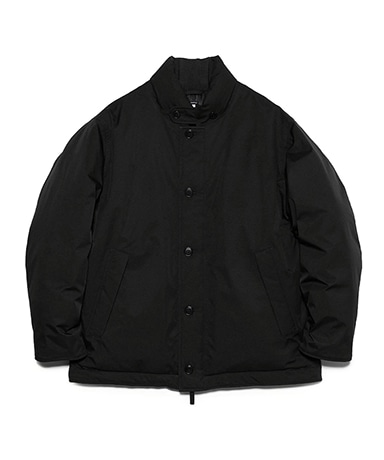2L GORE-TEX Down Jacket