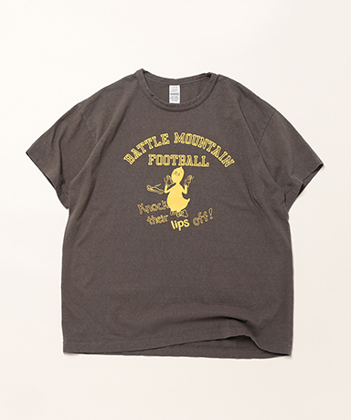 Lot 4064 Battle Mountain