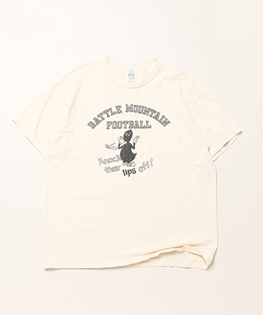 Lot 4064 Battle Mountain