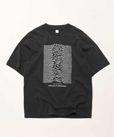 JD UNKNOWN PLEASURES Invert STANDARD