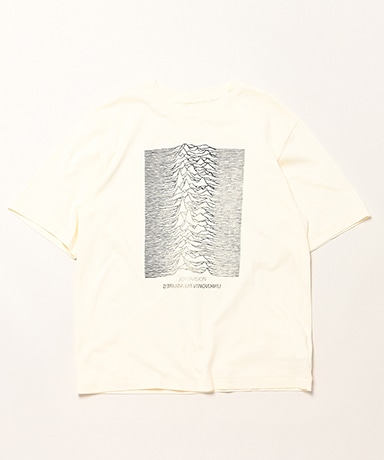 JD UNKNOWN PLEASURES Invert STANDARD