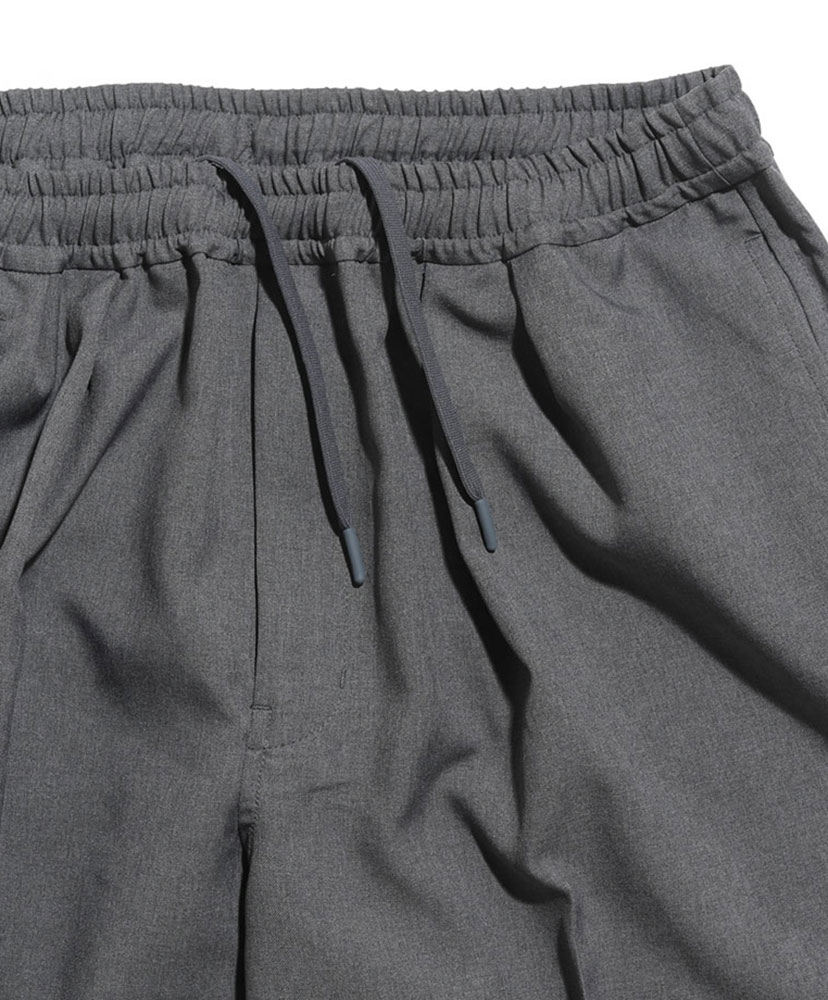 Tech Wide Easy 2P Trousers(XL(MEN) Gray/グレー): DAIWA PIER39