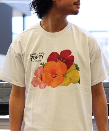 niche [ ニッチ ] T-Shirt  Collection