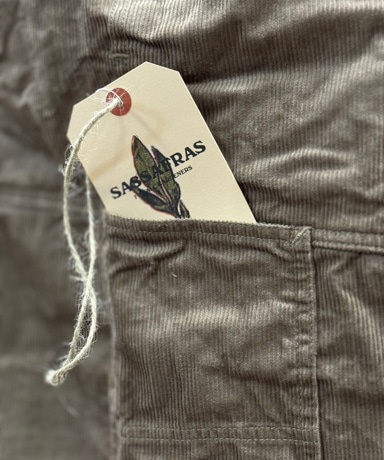 SASSAFRAS/ササフラス 新種のご紹介 20240508