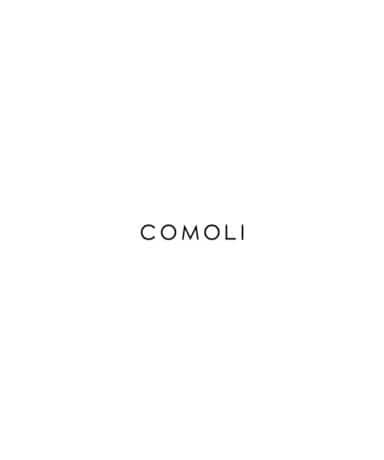 COMOLI/コモリ Delivery Digest 20240809