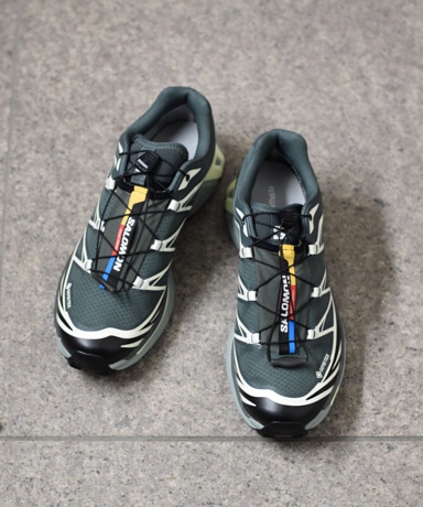 SALOMON/サロモン XT-6 GTX [Urban Chic×Black×Lime Cream] 20241011