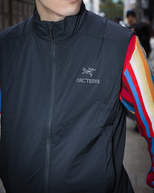 ARC'TERYX Atom Vest [Black]