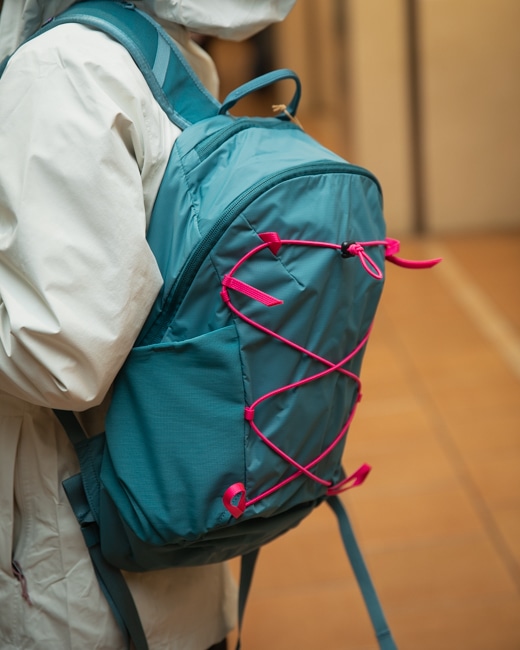 Patagonia テラヴィア・パック 14L