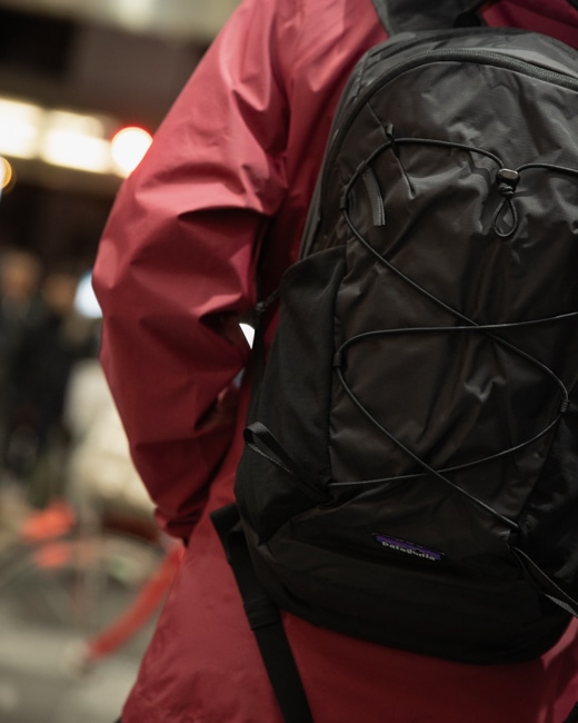 Patagonia テラヴィア・パック 14L