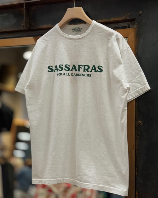 SASSAFRAS/ササフラス 新種のご紹介 20240520