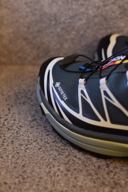 SALOMON/サロモン XT-6 GTX [Urban Chic×Black×Lime Cream] 20241011