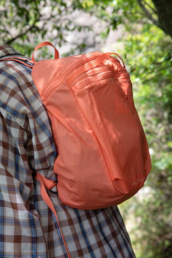 Heliad 15 Backpack 着用