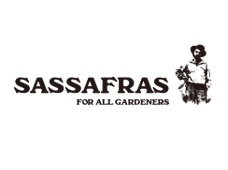 SASSAFRAS/ササフラス