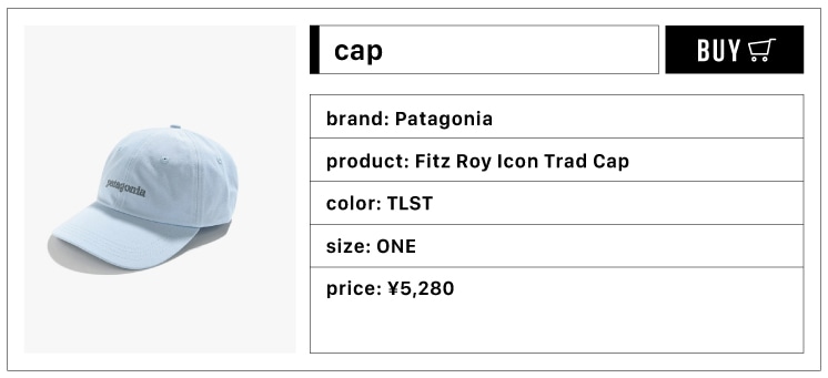 Patagonia/Fitz Roy Icon Trad Cap